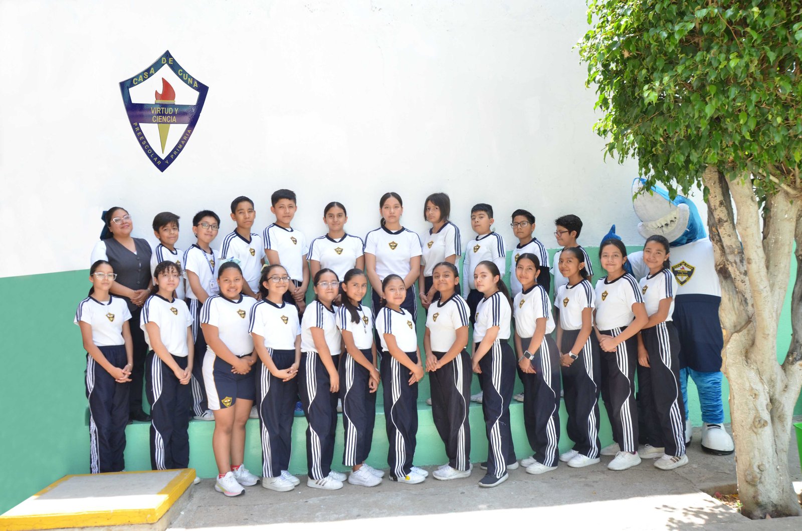 Actividades deportivas